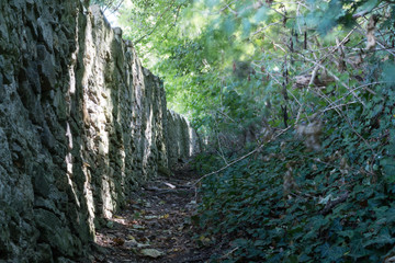 Mittelalterlicher Weg