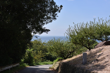 日本の兵庫県たつの市の海