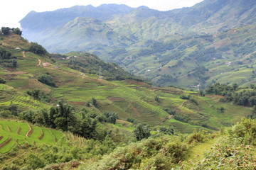 Fototapeta premium vietnam