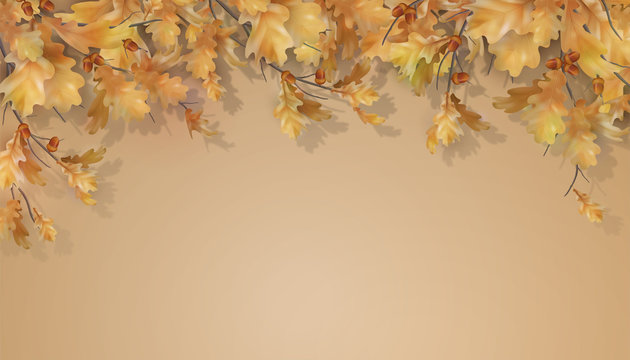 Autumn oak leaves branch