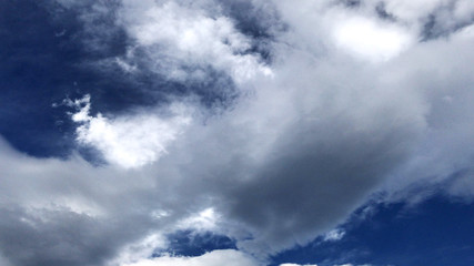 Fototapeta premium 青空