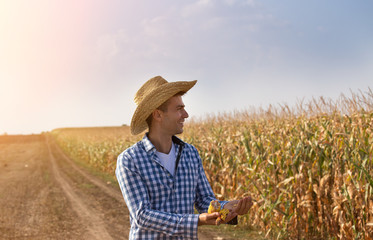 Farmer in ripe corn field