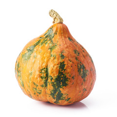 hokkaido pumpkin isolated over white background