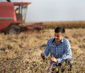 Farmer in soybean field during harvest