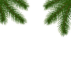 Fir tree branches background. Isolated Christmas tree brancher. Realistic winter seasonal decorations