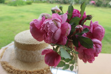 The pink roses by the hat in the garden.
