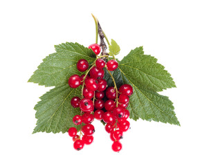red currant with green leaves isolated on white background