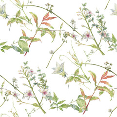 Watercolor painting of leaf and flowers, seamless pattern on white background