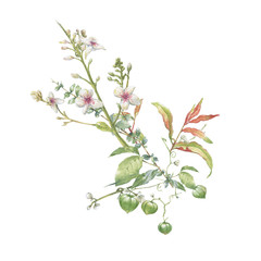 watercolor painting of leaves and flower, on white background