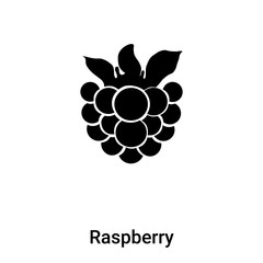 Raspberry icon vector isolated on white background, logo concept of Raspberry sign on transparent background, black filled symbol