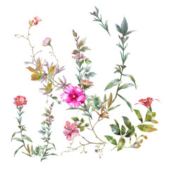 watercolor painting of leaves and flower, on white background
