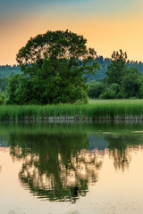 Fototapeta na wymiar Sunset at the pond