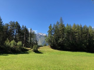 Fototapeta premium Tiroler Alpenlandschaft, Panoramablick, Bergwiese