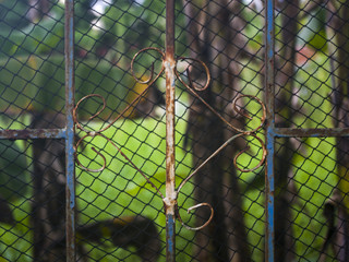 Rusty Fence Design