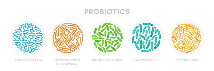 Set of probiotic bacteria. Good microorganisms concept isolated on white background. Propionibacterium, lactobacillus, lactococcus, bifidobacterium, streptococcus thermophilus, escherichia coli
