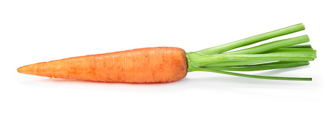 fresh carrot on white background