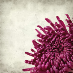 textured old paper background