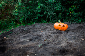evil pumpkin for Halloween
