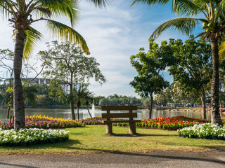 Chair in park on flower and lake background,