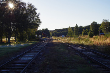 Fototapeta premium Rail road in the forest