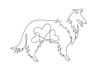 Collie illustration drawn freehand. Illustration isolated on white background, logo, t-shirt design.