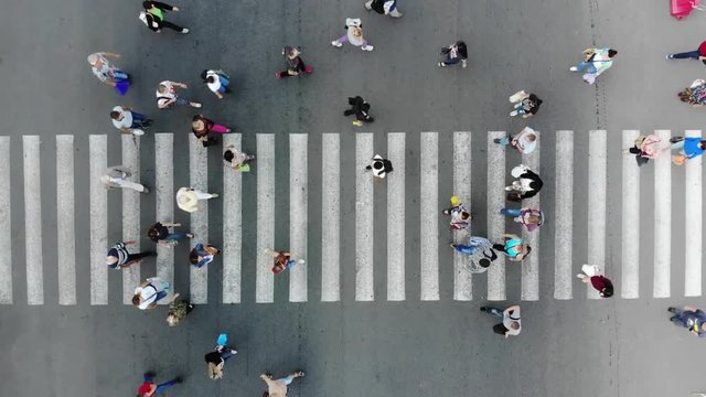 Aerial. Pedestrian crosswalk. View above.