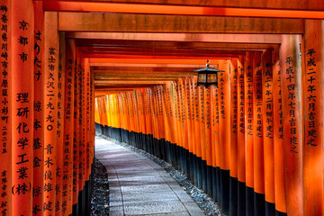 Naklejka premium Fushimi Inari-Kyoto, Japonia