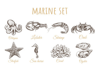 Octopus, starfish, sea horse, oyster, coral, 