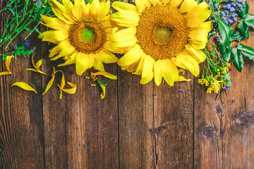 flowers of a sunflower and field grass on a wooden background.