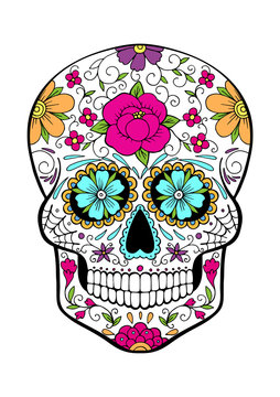 sugar skull, vector