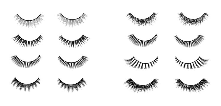Realistic Lashes Set. Lashes Extensions Vector Illustration.