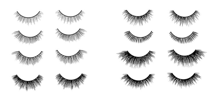 Faux Lashes Set Isolated On White Background, Vector Illustration