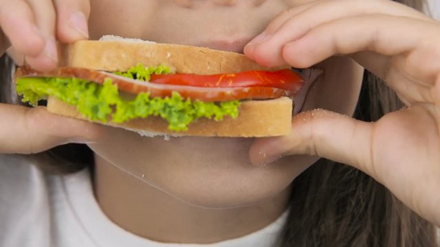The child eats fast food. Girl with a sandwich. Close-up.