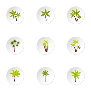 Tree palm icons set. Flat illustration of 9 tree palm vector icons for web