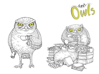 Cute  owls character hand drawn.