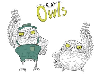 Cute  owls character hand drawn.