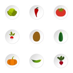 Types of vegetables icons set. Flat illustration of 9 types of vegetables vector icons for web