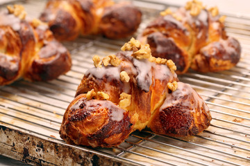 Fresh croissant in bakery on metal drip tray background