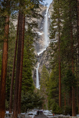 Fototapeta premium Path to Yosemite Falls