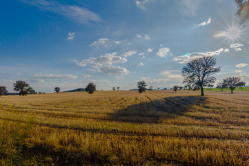 Obraz premium BAZAN LANDSCAPE