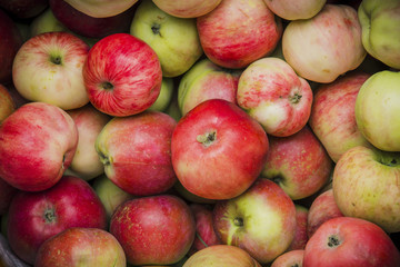 Organic Red Apples