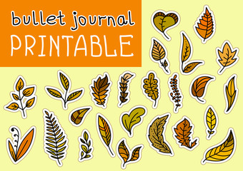 Set of Bulet Journal Autumn Leaves Printable with Outline for Cutting. Hand Drawn EPS 10 vector.