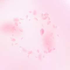 Sakura petals falling down. Romantic pink flowers frame. Flying petals on pink square background. Lo