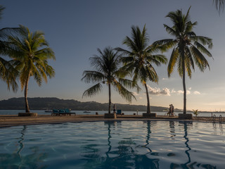 Obraz premium Pool with silhouettes of palm trees