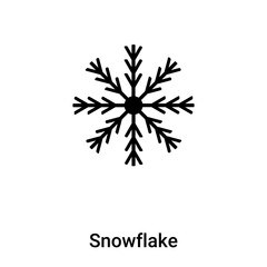 Snowflake icon vector isolated on white background, logo concept of Snowflake sign on transparent background, black filled symbol
