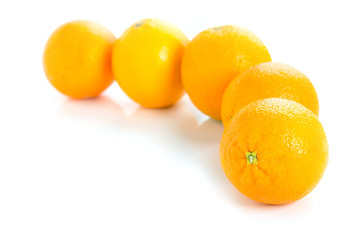 Group of five oranges. Set of fresh whole orange. Group citrus fruit isolated on white background.