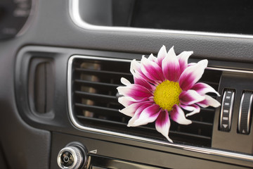 car air conditioner freshness