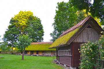 Yard with beautiful old manor houses with thatched roofs, lawn and lone tree. Estonia. Fly Island