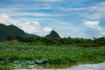 river in the mountains
