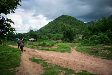 riding on elephants in jungle